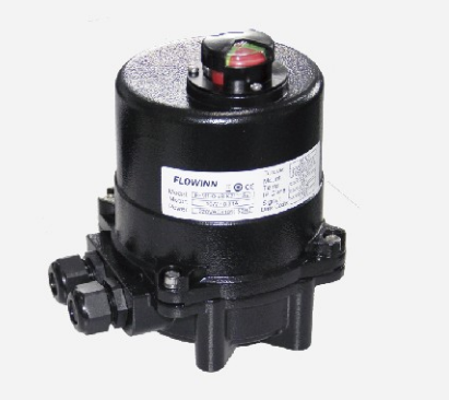 閥門電動執行器容易出現哪些故障問題