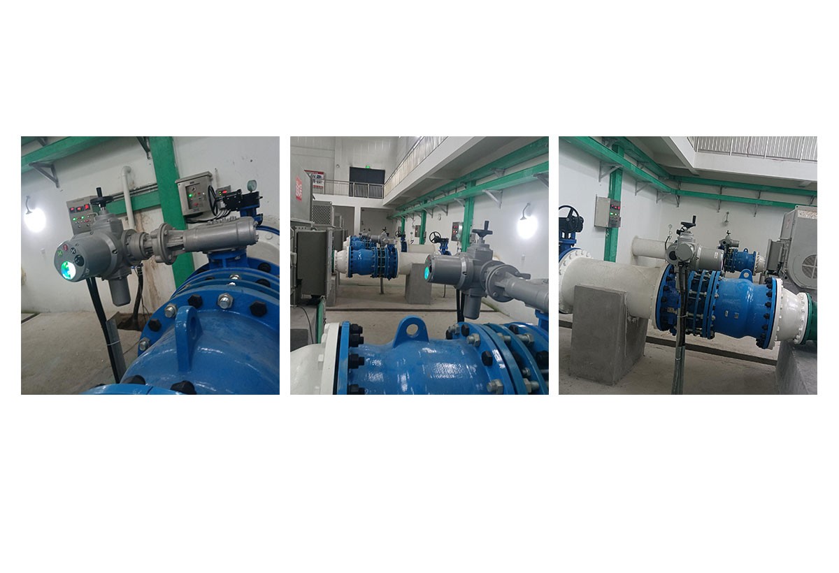 廣安愛(ài)眾花園水務(wù)公司