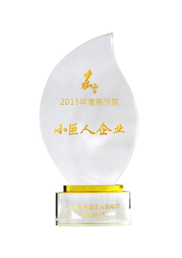 2015年嘉定小巨人企業