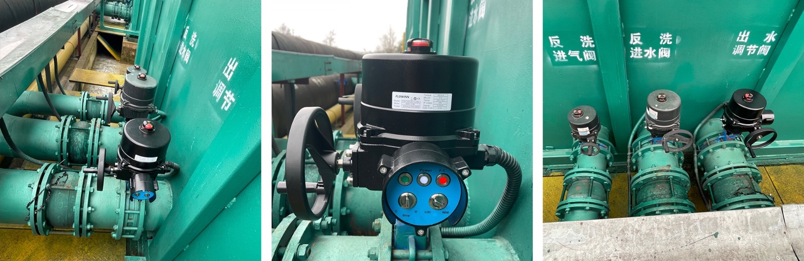 IMG_6050.jpeg IMG_6050.jpeg