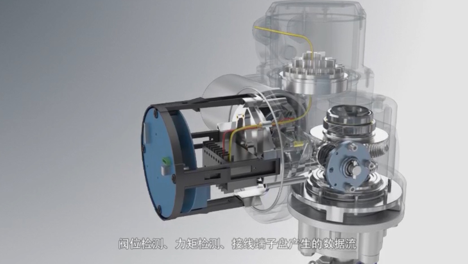 IMG_6437.jpeg IMG_6437.jpeg